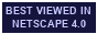 Best viewed in Netscape Navigator 4.0