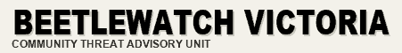 BeetleWatch Victoria — Community Threat Advisory Unit